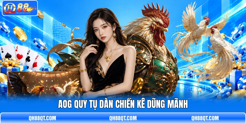 AOG quy tụ dàn chiến kê dũng mãnh AOG quy tụ dàn chiến kê dũng mãnh