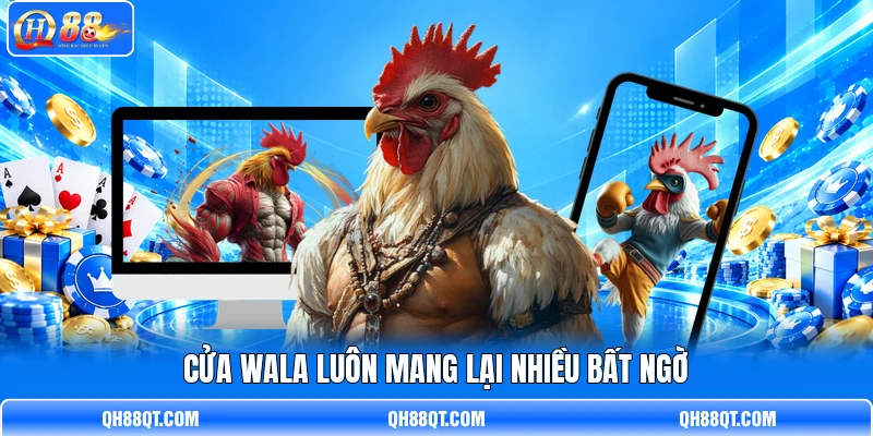 Cửa Wala luôn mang lại nhiều bất ngờ Cửa Wala luôn mang lại nhiều bất ngờ