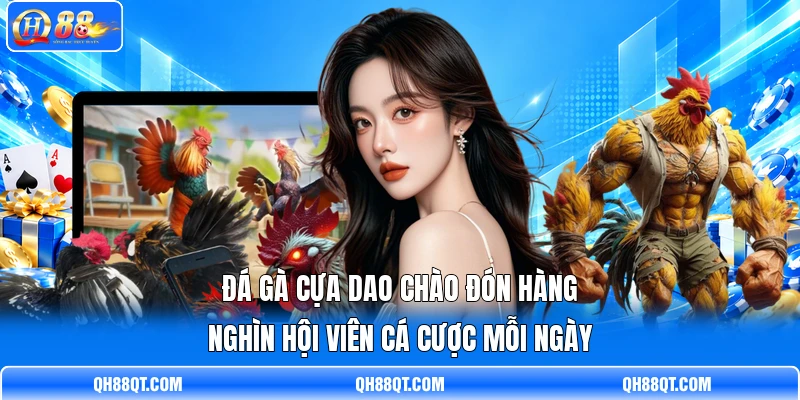 Đá gà cựa dao chào đón hàng nghìn hội viên cá cược mỗi ngày Đá gà cựa dao chào đón hàng nghìn hội viên cá cược mỗi ngày