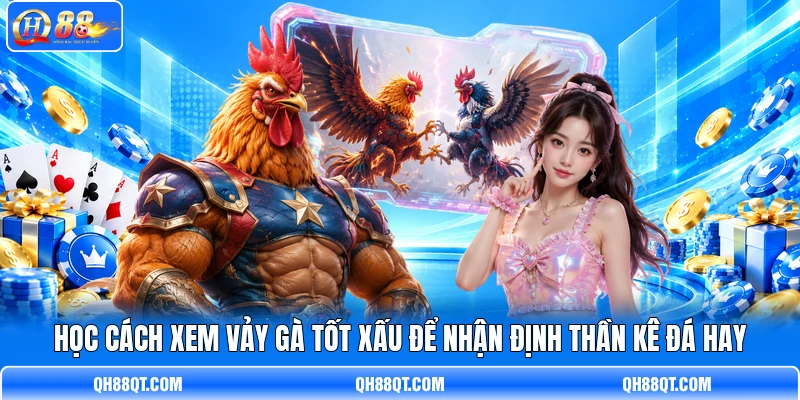 Học cách xem vảy gà tốt xấu để nhận định thần kê đá hay