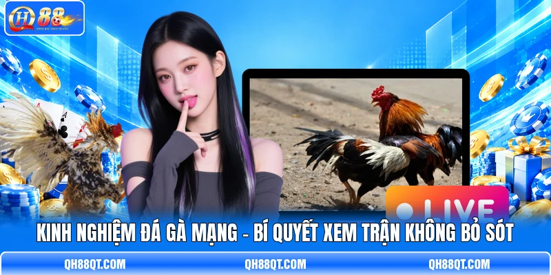 Kinh Nghiệm Đá Gà Mạng - Bí Quyết Xem Trận Không Bỏ Sót
