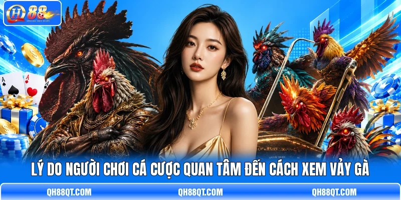 Lý do người chơi cá cược quan tâm đến cách xem vảy gà