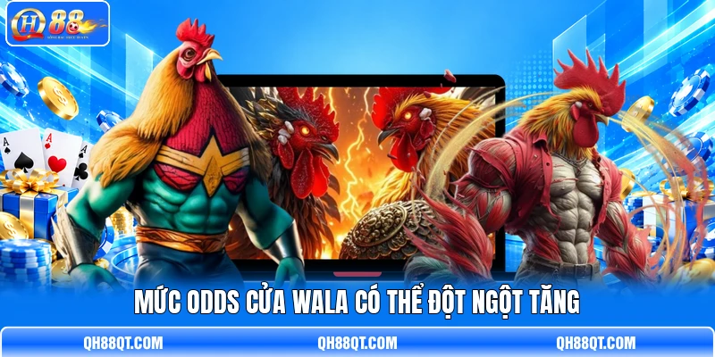 Mức Odds cửa Wala có thể đột ngột tăng Mức Odds cửa Wala có thể đột ngột tăng